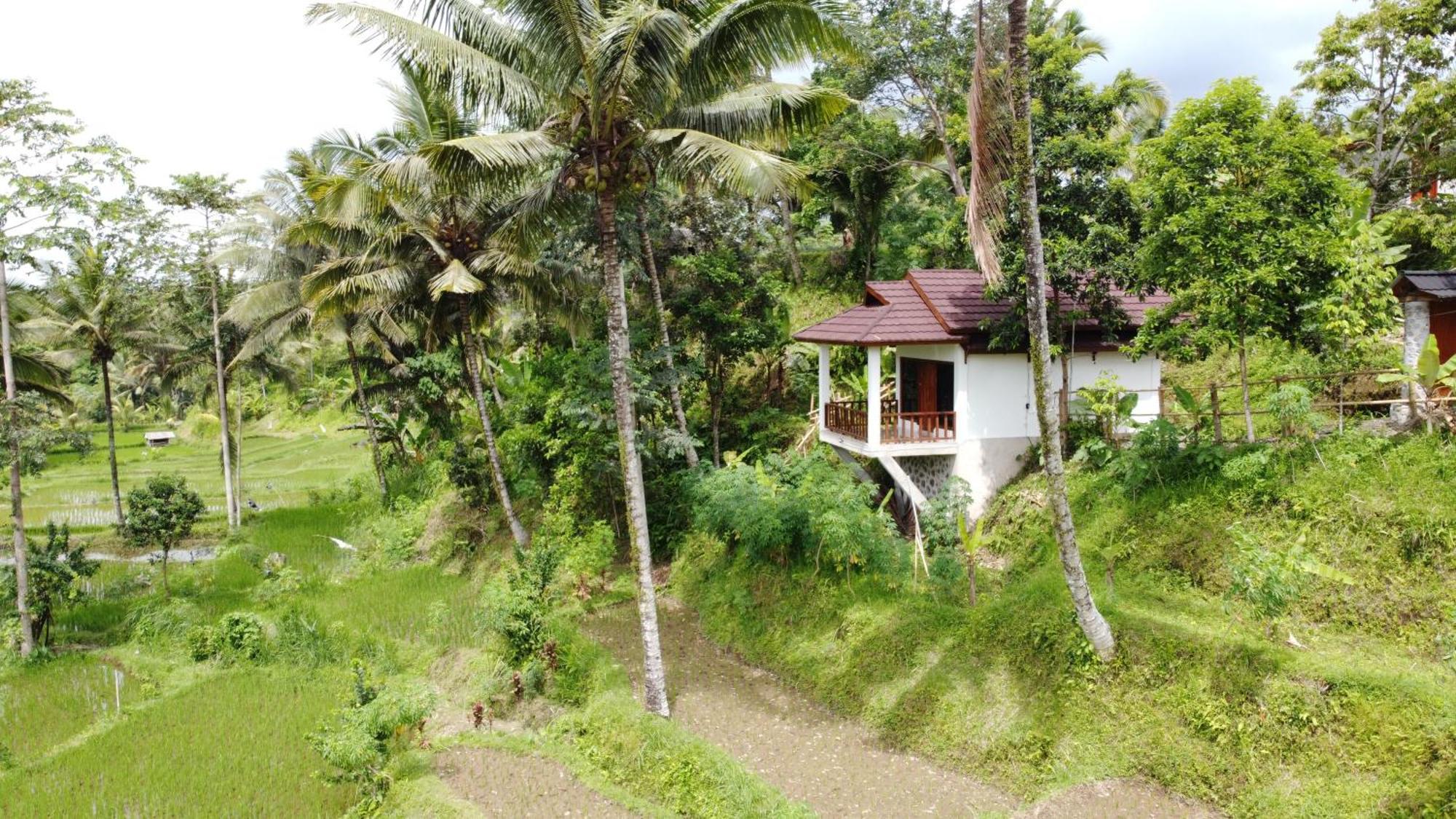 Nea Cottage Lombok Tetebatu Exterior foto